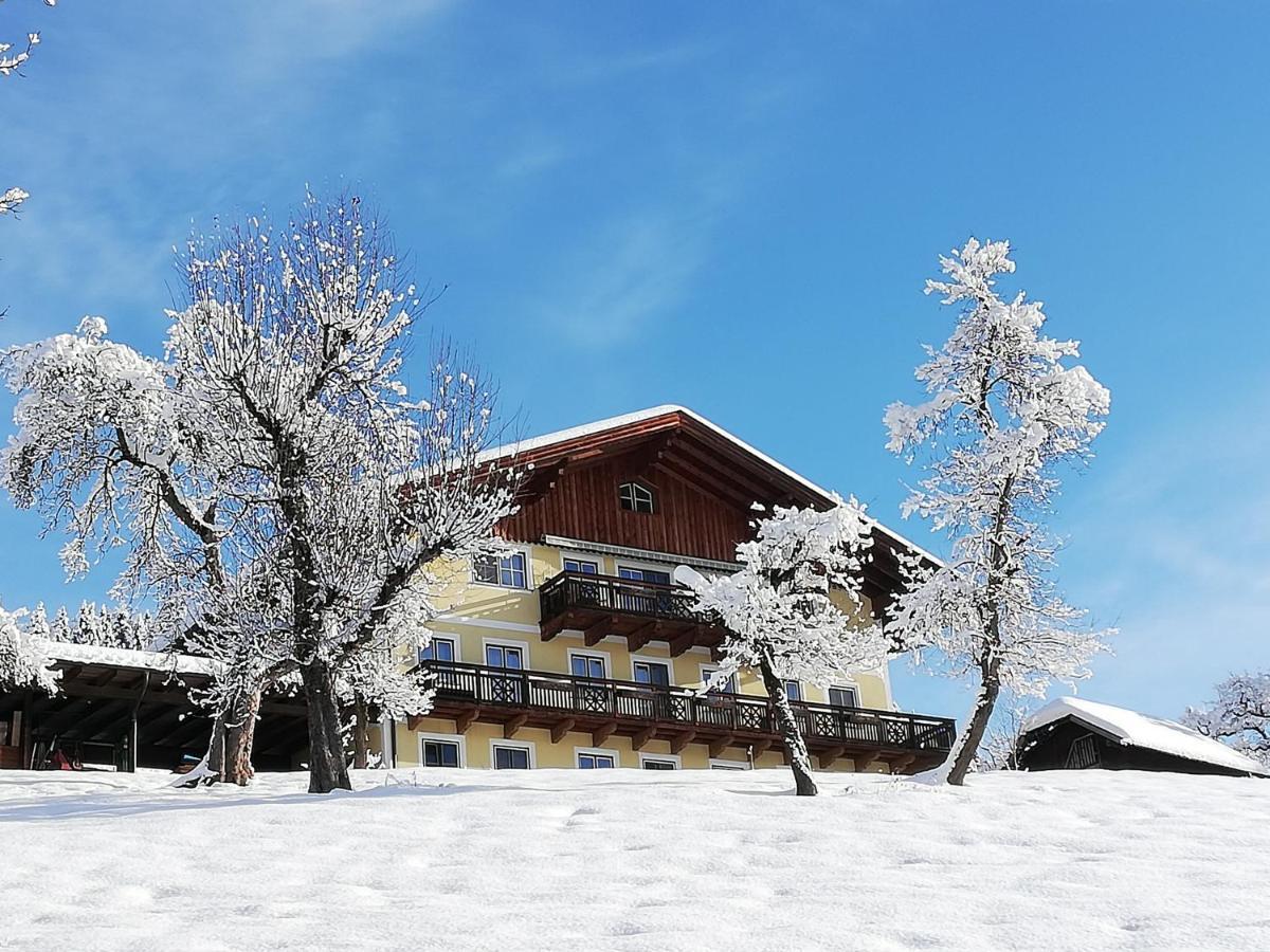 Bio-Bauernhof Einberghof Apartment Pfarrwerfen Exterior foto