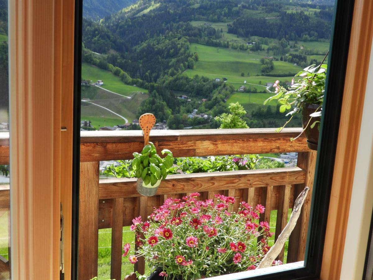 Bio-Bauernhof Einberghof Apartment Pfarrwerfen Exterior foto