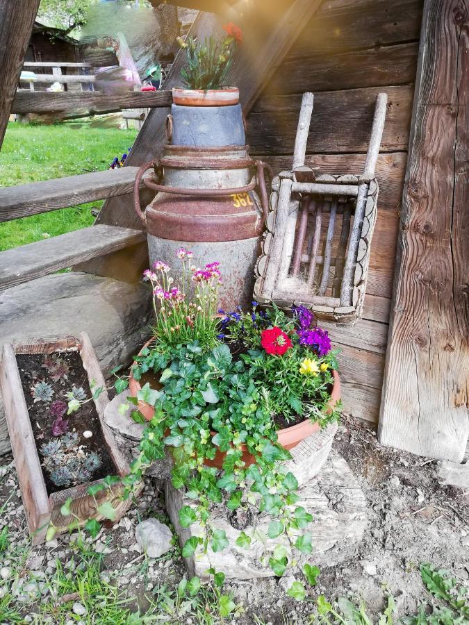 Bio-Bauernhof Einberghof Apartment Pfarrwerfen Exterior foto