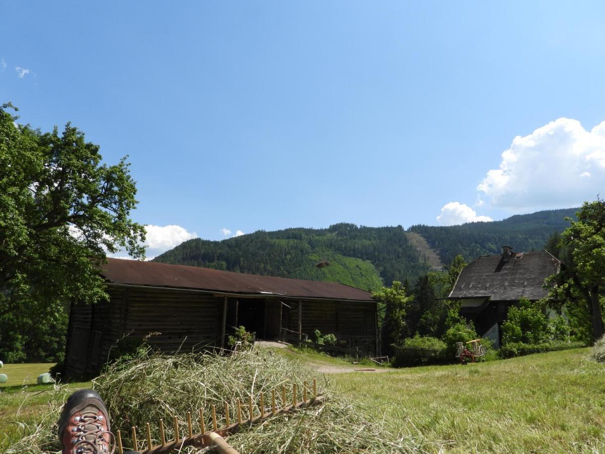 Bio-Bauernhof Einberghof Apartment Pfarrwerfen Exterior foto