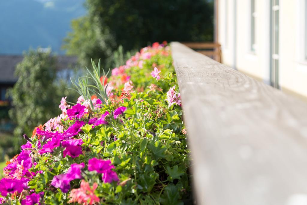 Bio-Bauernhof Einberghof Apartment Pfarrwerfen Exterior foto