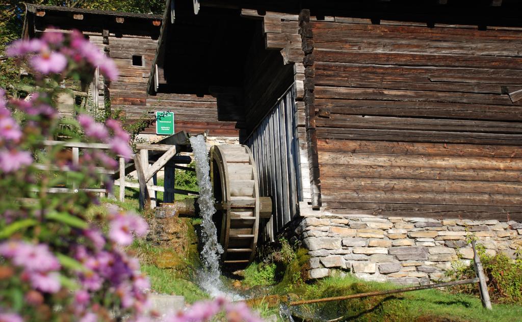 Bio-Bauernhof Einberghof Apartment Pfarrwerfen Exterior foto
